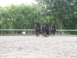 IMG_1232_web